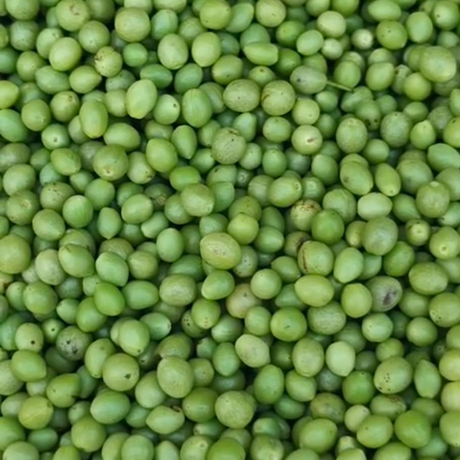 Garuggaayalu | గరుగ్గాయలు