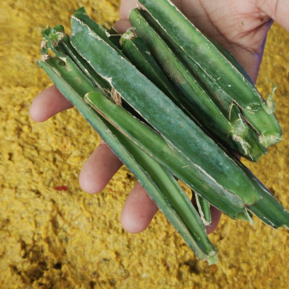 Nalleru ChinthaThokku